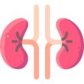 Kidney Disease