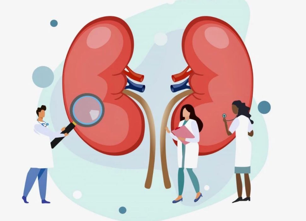 Kidney Disease